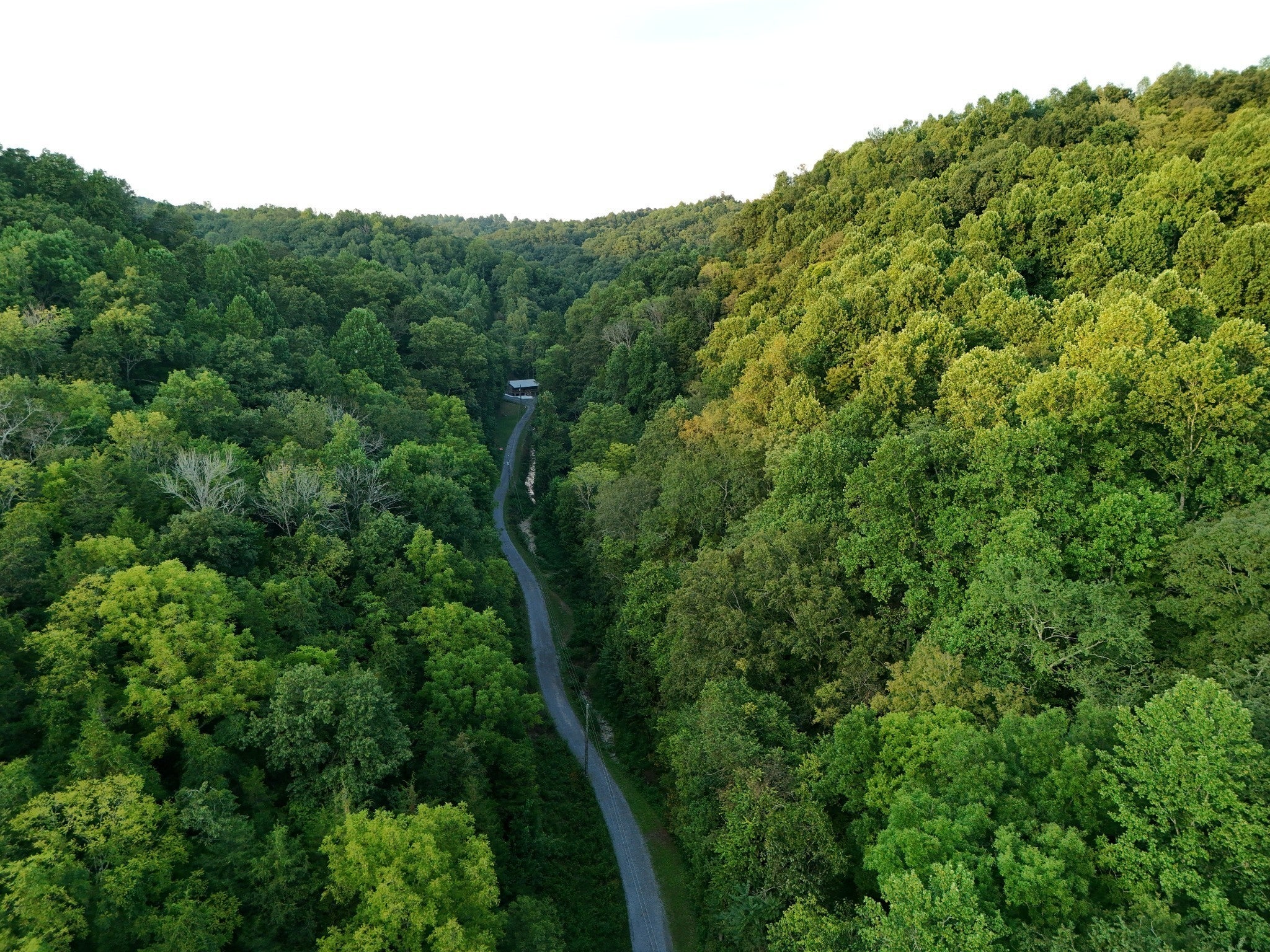 Photo of Listing #3066651