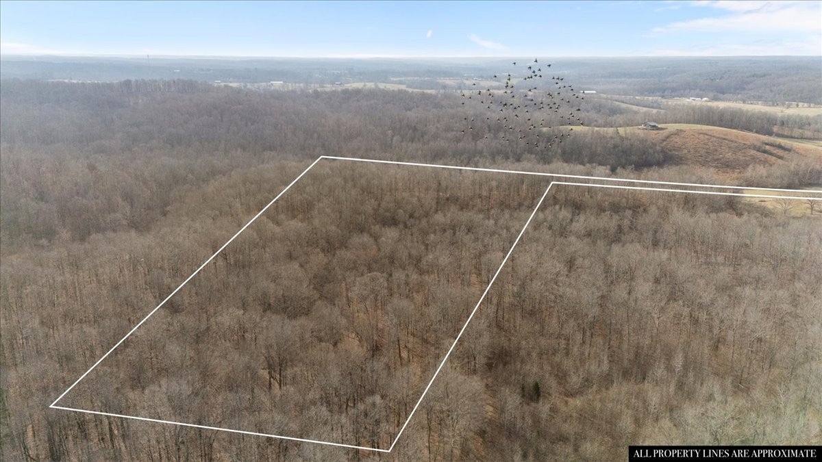 Photo of Listing #3066700