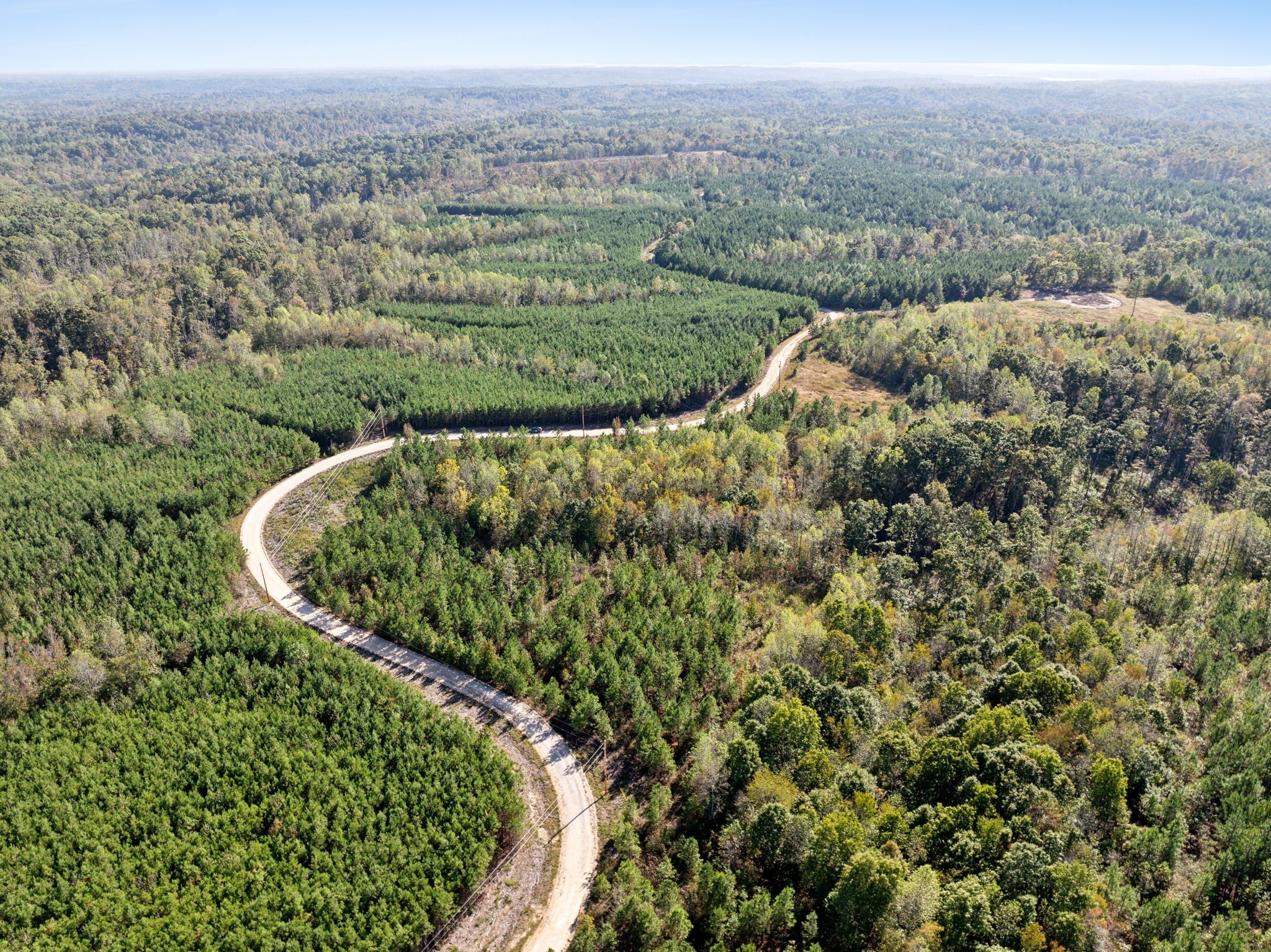 Photo of Listing #3066737