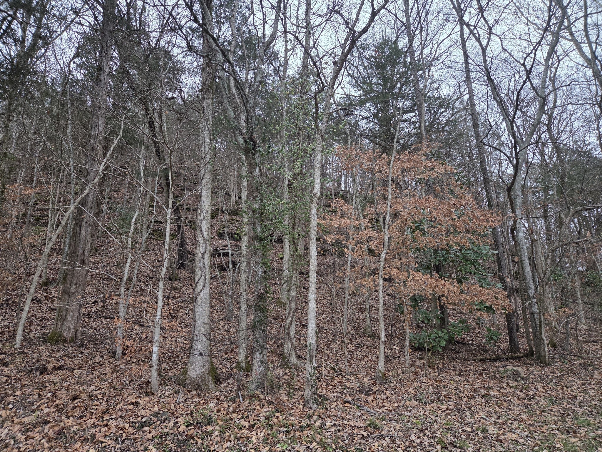 Photo of Listing #3067404