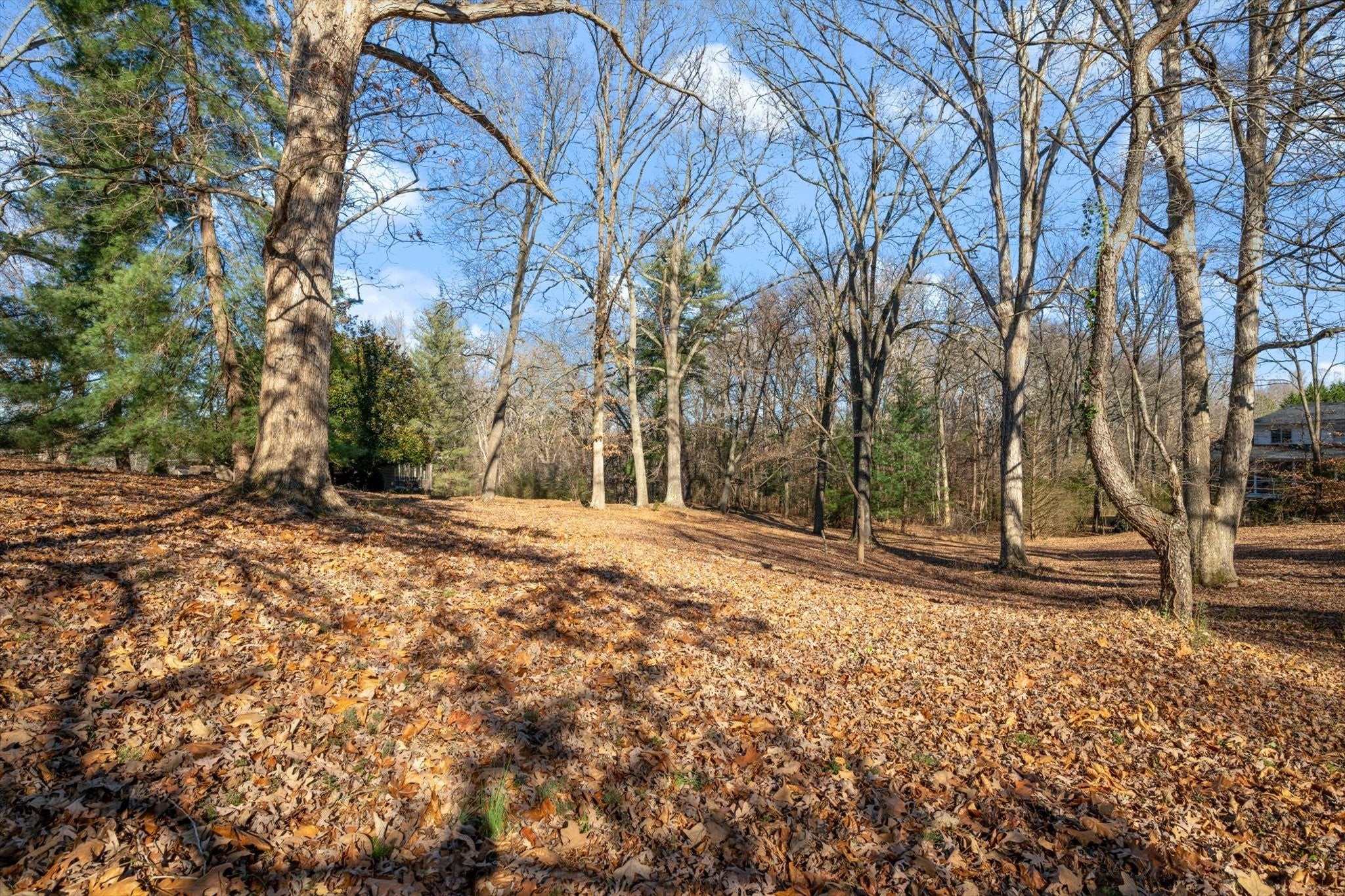 Photo of Listing #3067420