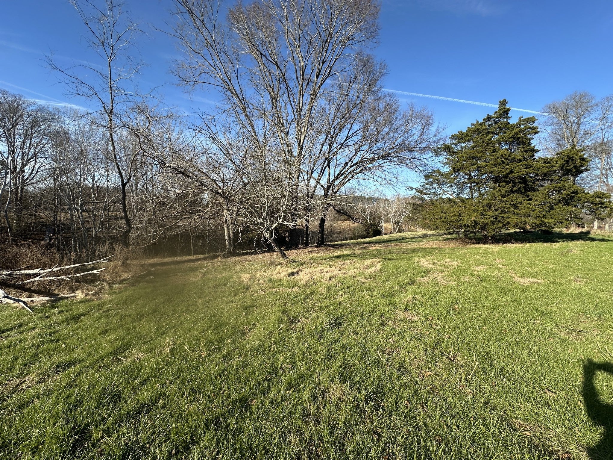 Photo of Listing #3067439