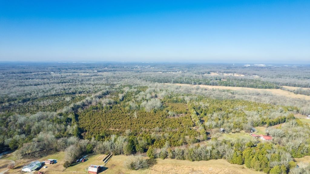 980 Baldy Ford Rd, Lascassas