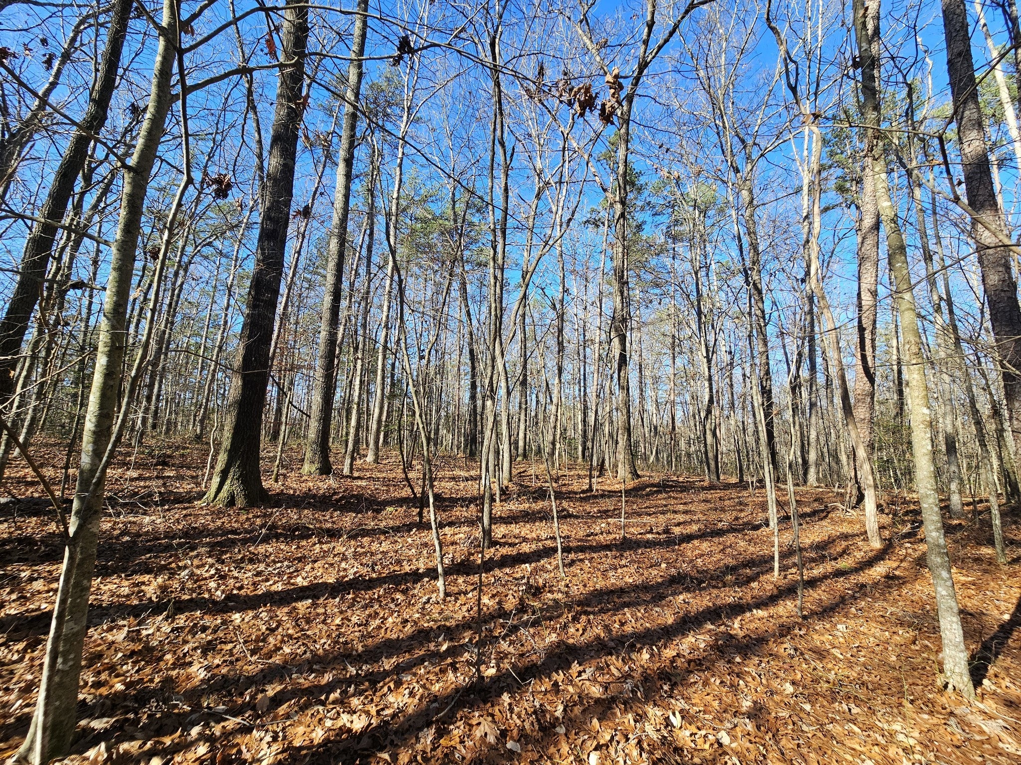 Photo of Listing #3067663