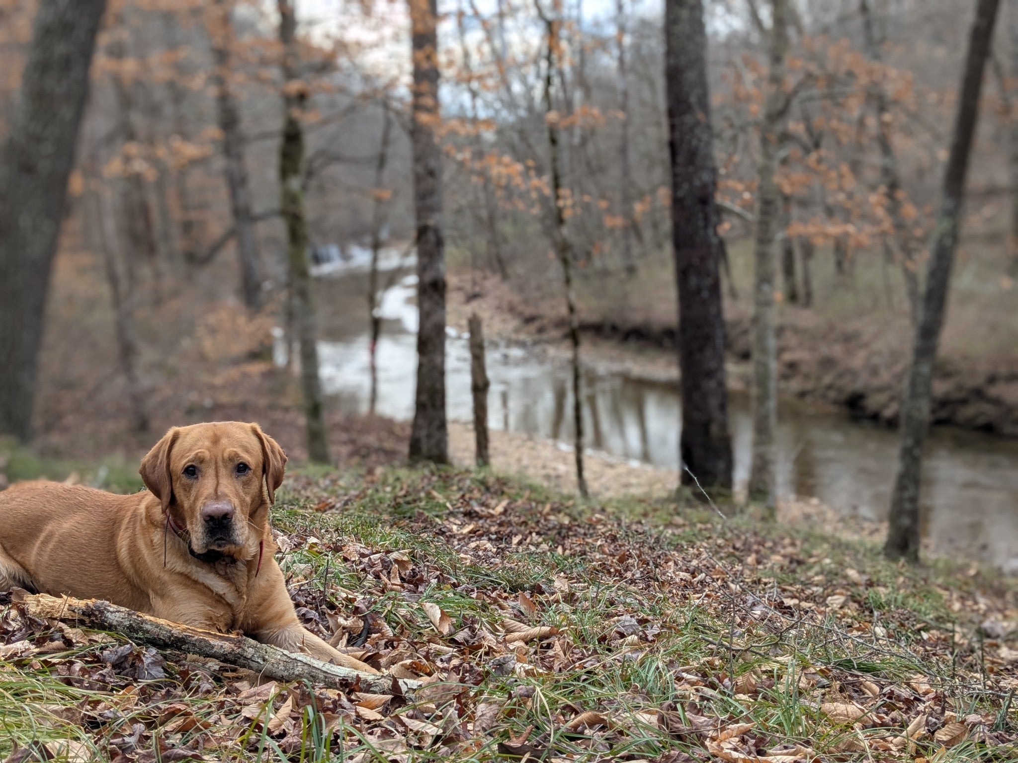 Photo of Listing #3067689