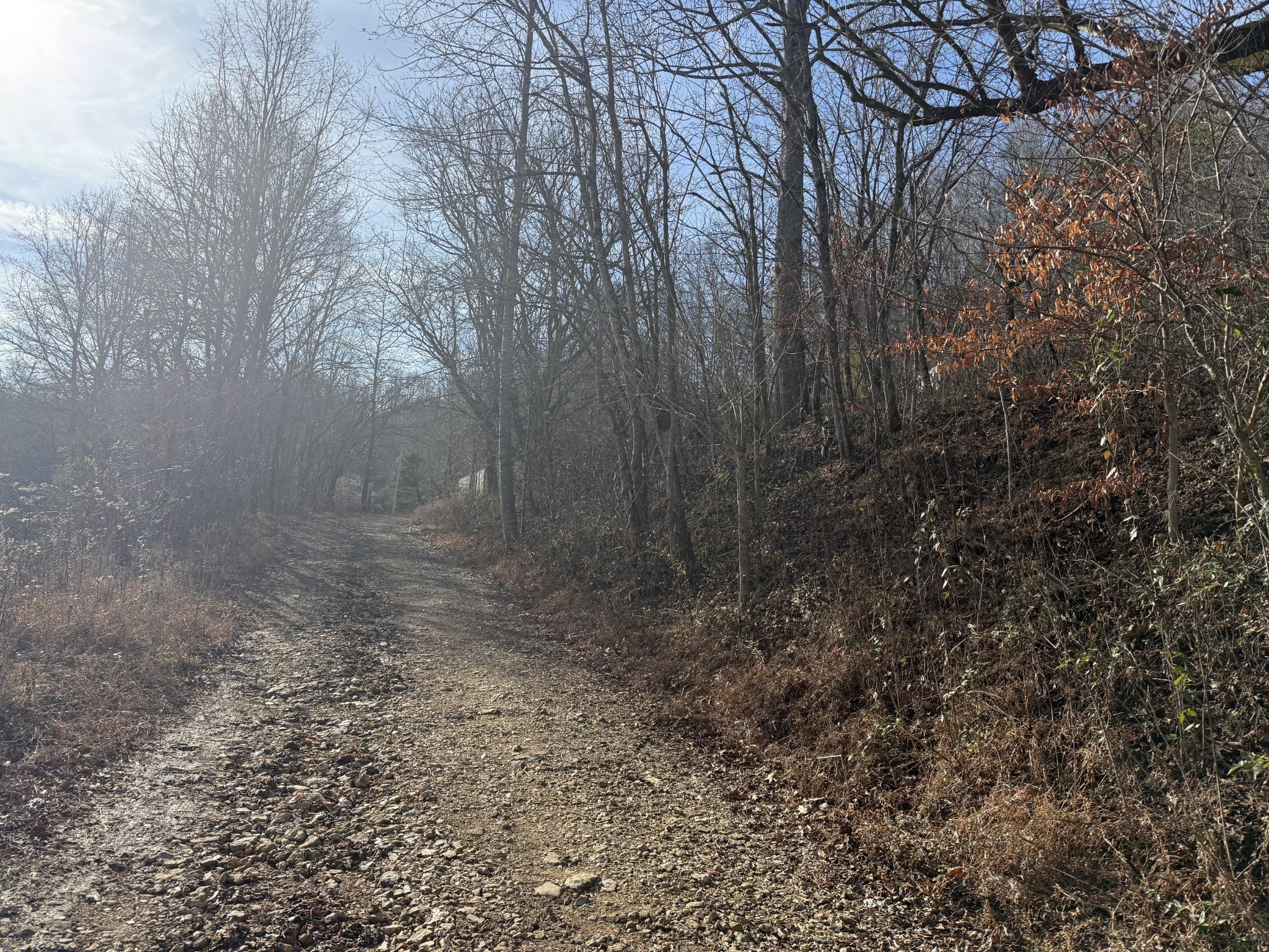 Photo of Listing #3067979