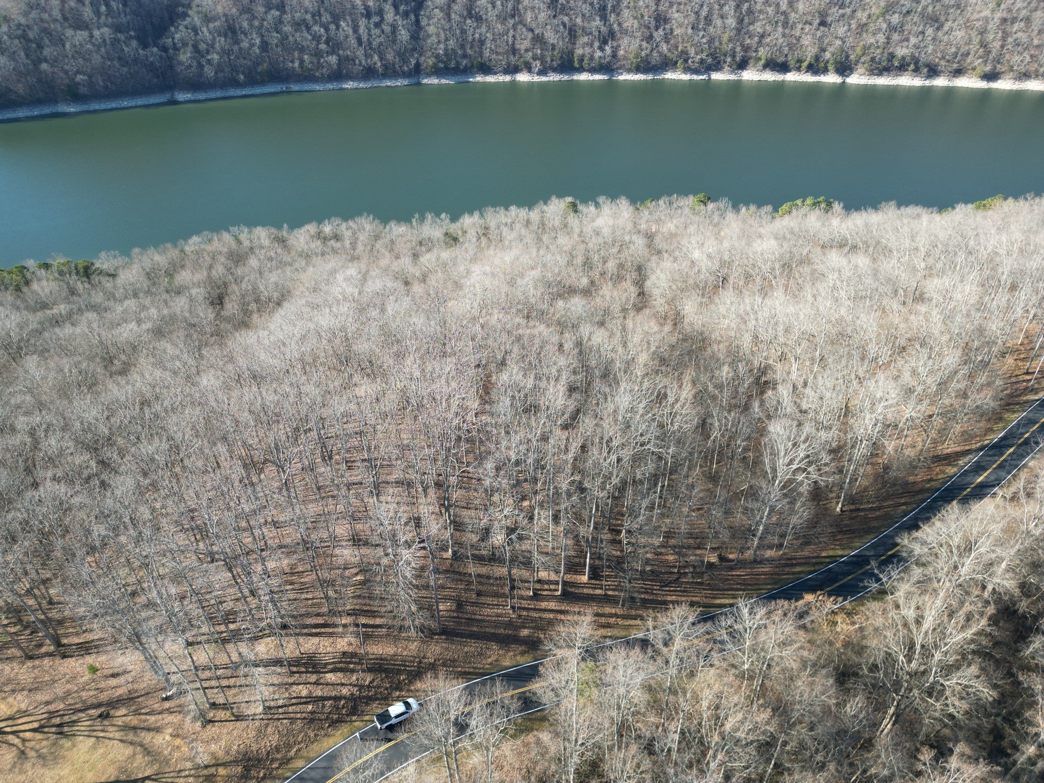 Photo of Listing #3068040