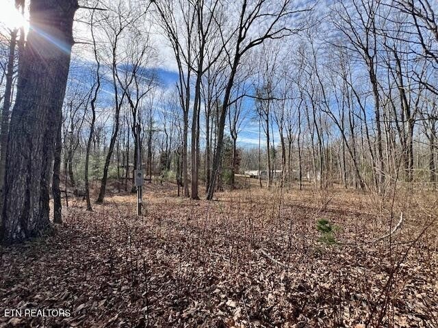 Photo of Listing #3068089