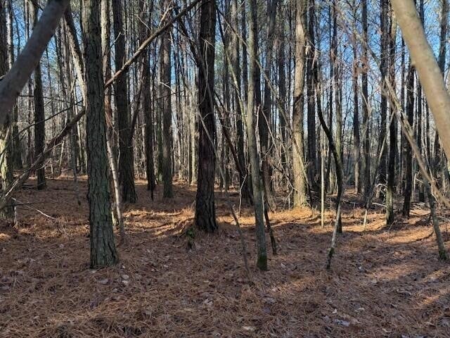 Photo of Listing #3068179