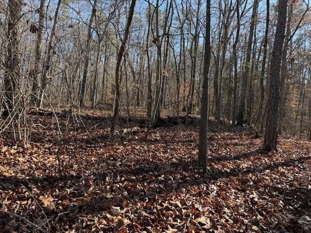 Photo of Listing #3068187