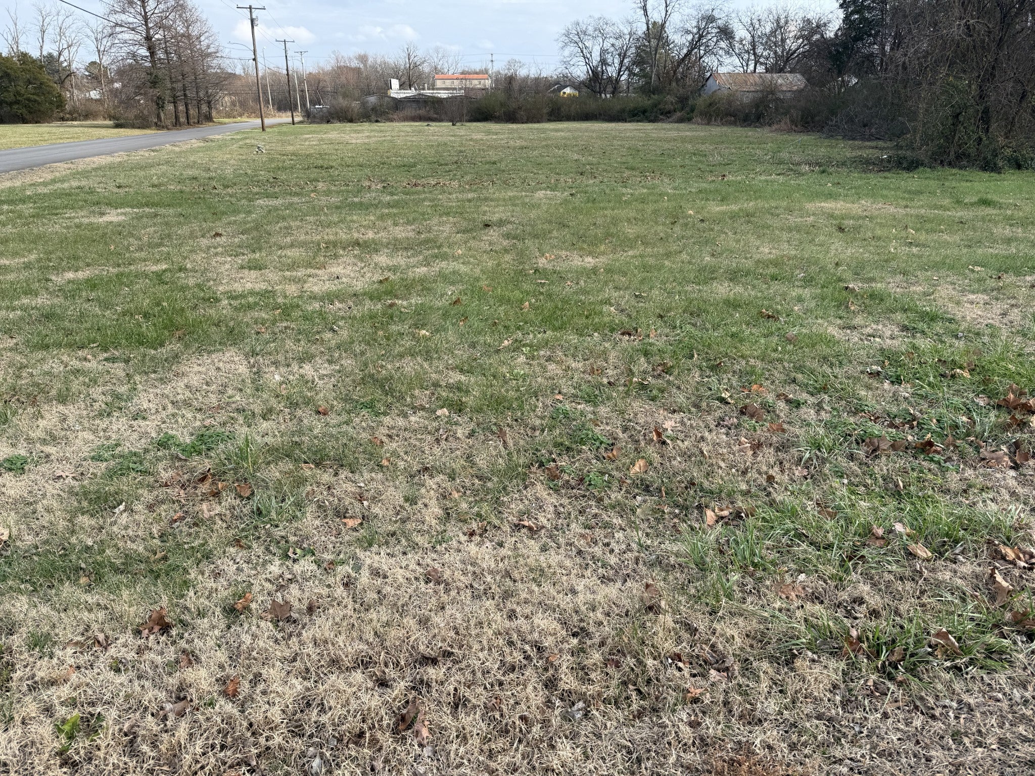 Photo of Listing #3068575