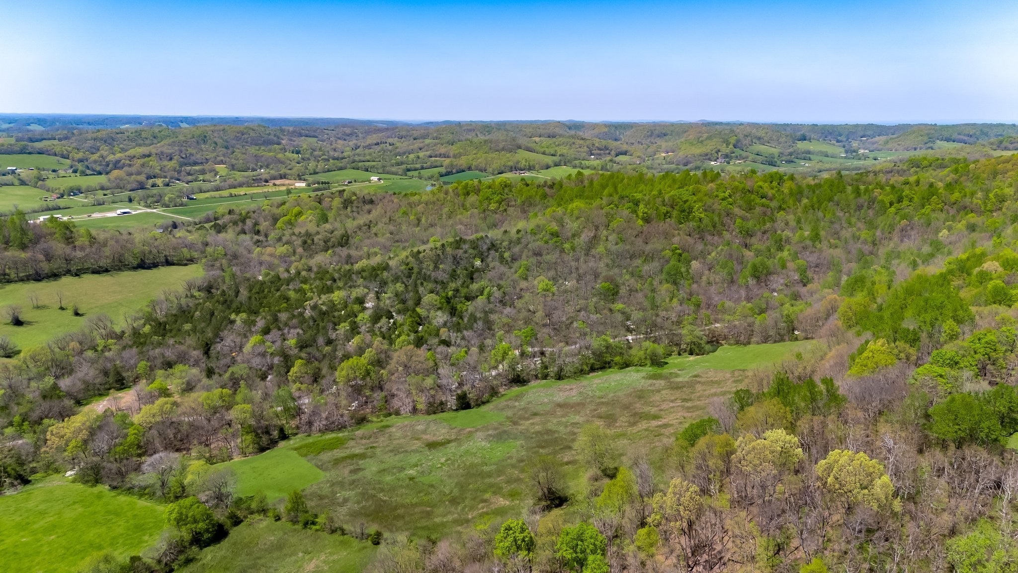 Photo of Listing #3068602