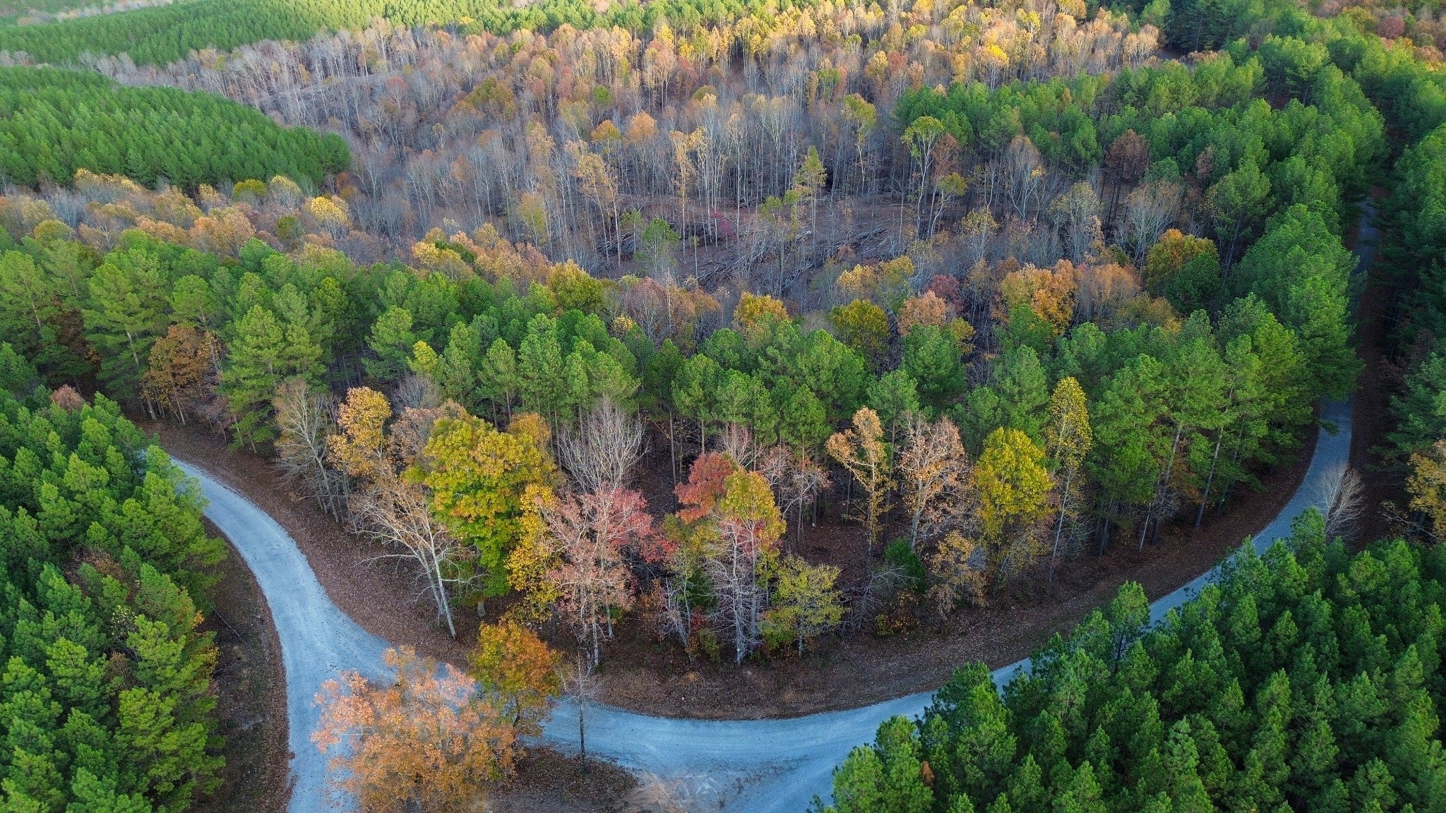 Photo of Listing #3068604