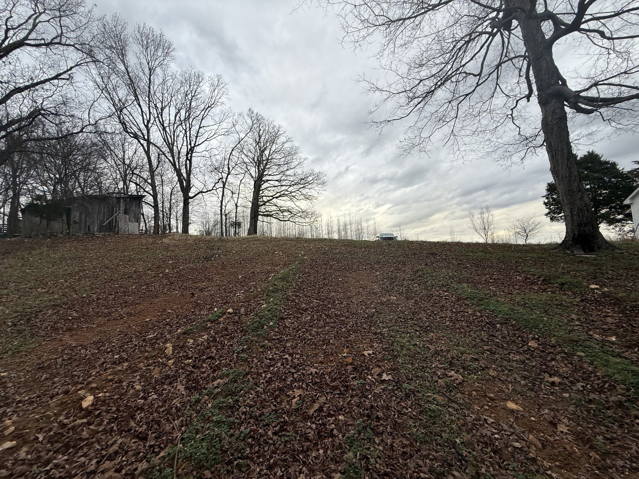 Photo of Listing #3069141