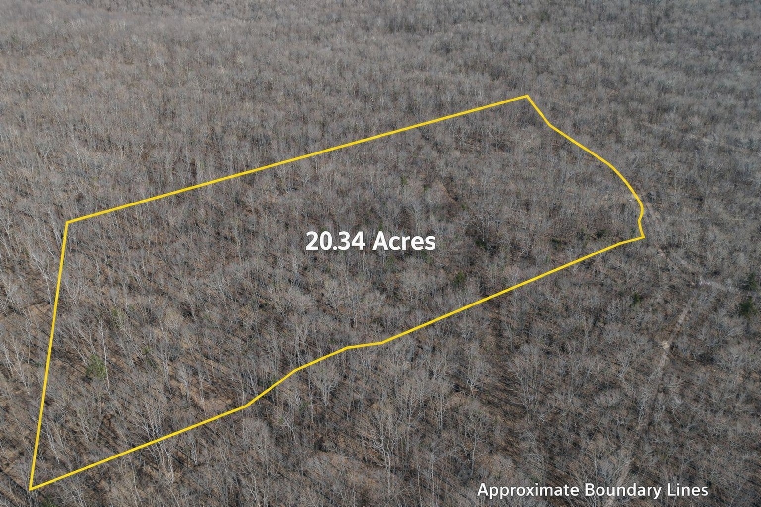 Photo of Listing #3069288