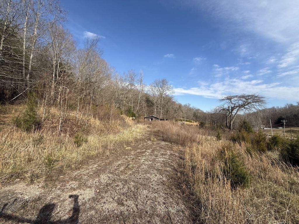 4819 Morrison Creek Rd, Clifton