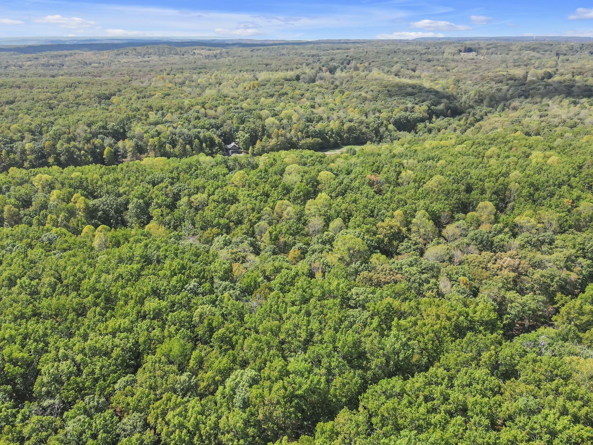 Photo of Listing #3069518