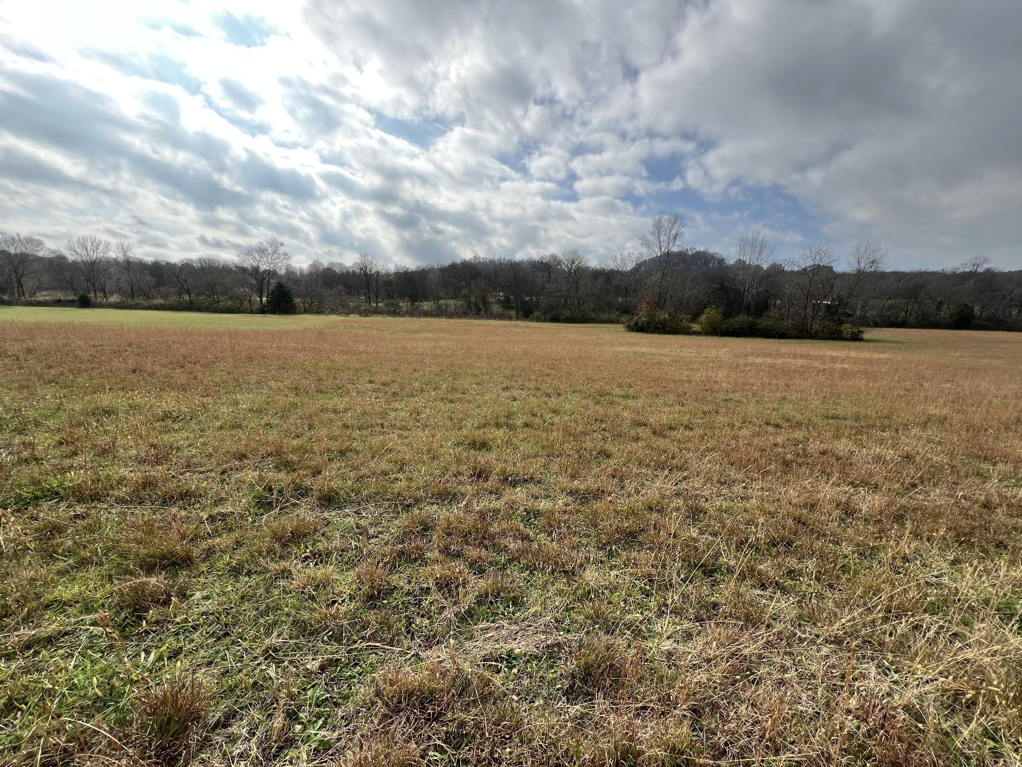 Photo of Listing #3069780