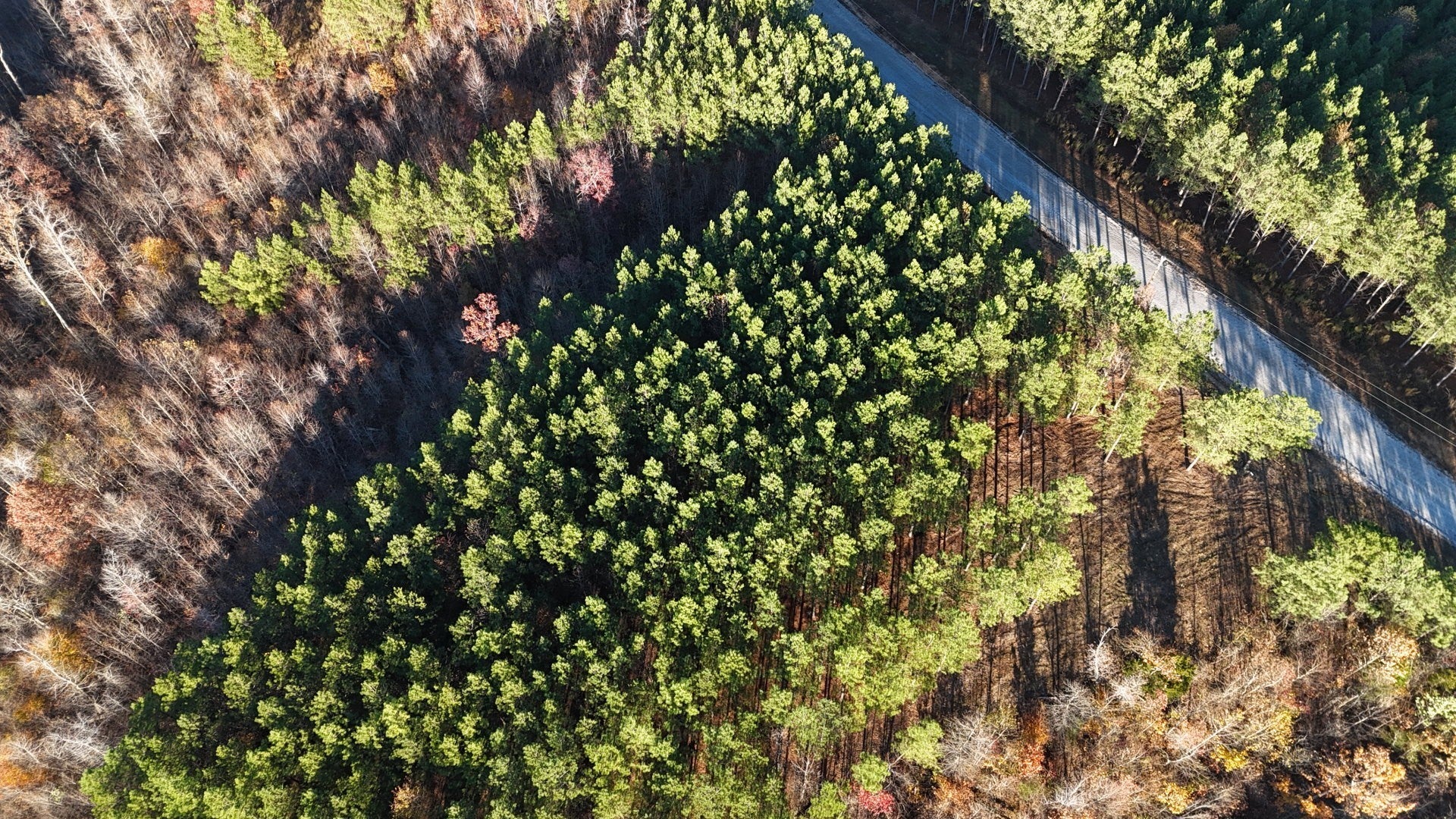 Photo of Listing #3069843