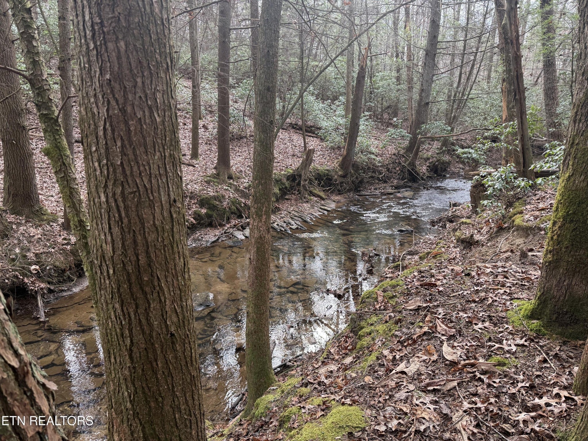 Photo of Listing #3070032