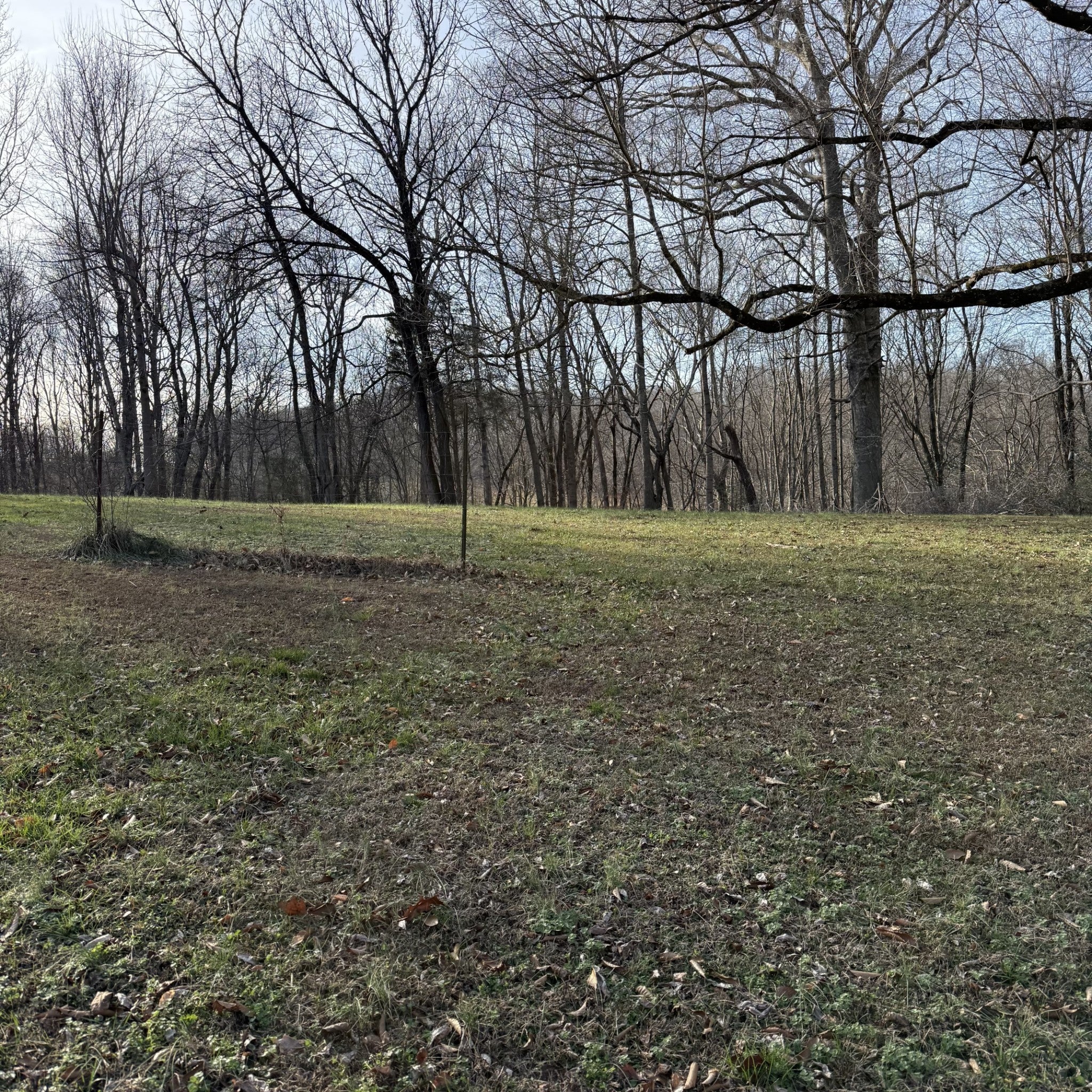 Photo of Listing #3070350