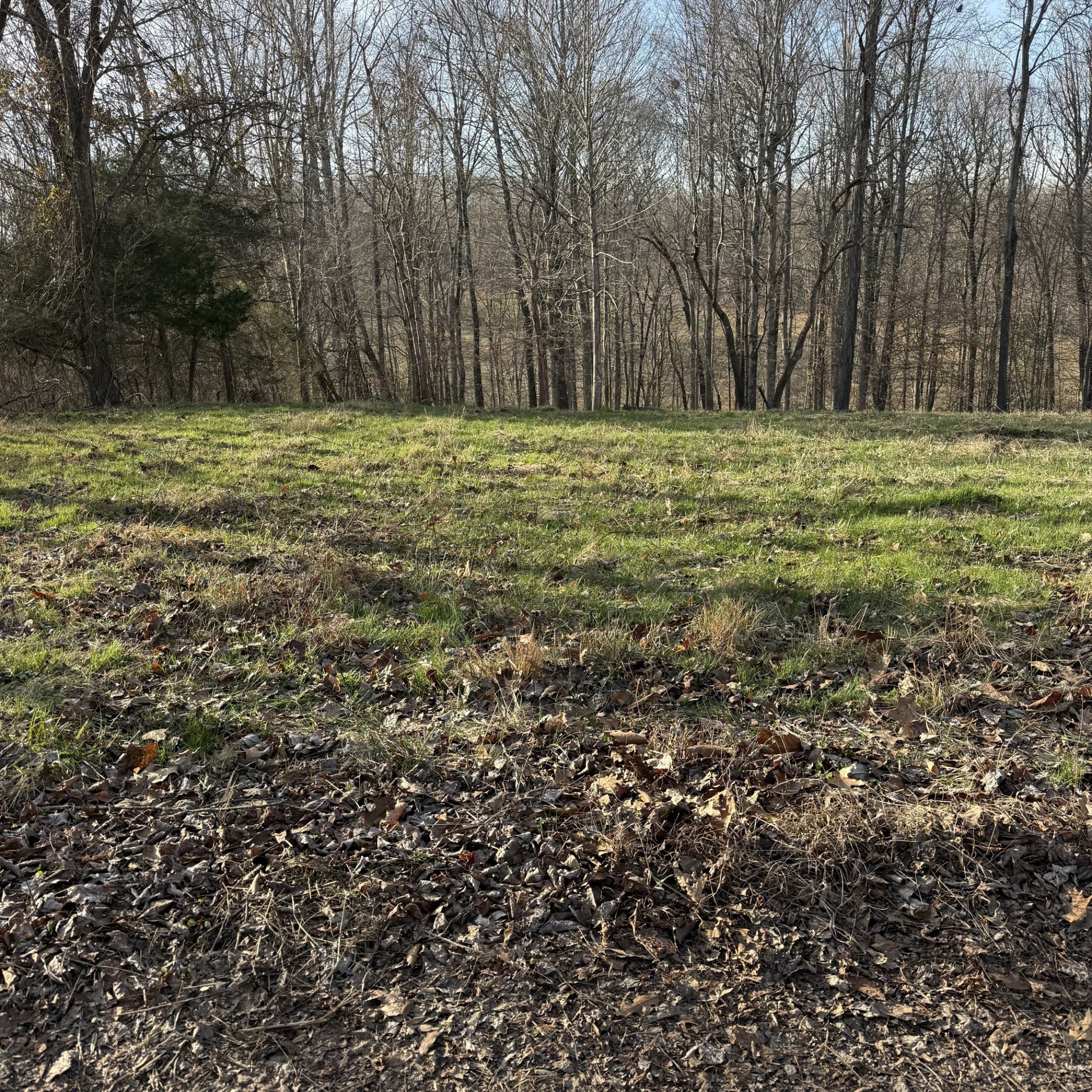 Photo of Listing #3070353