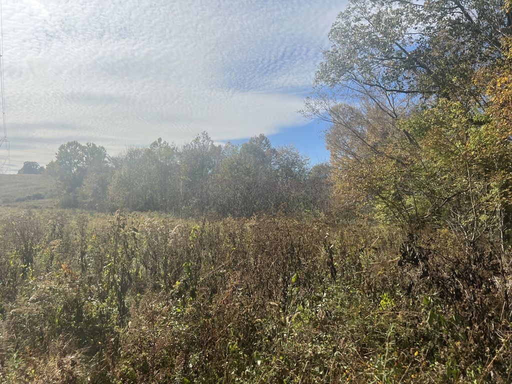 6 Clyde Webb, Tennessee Ridge