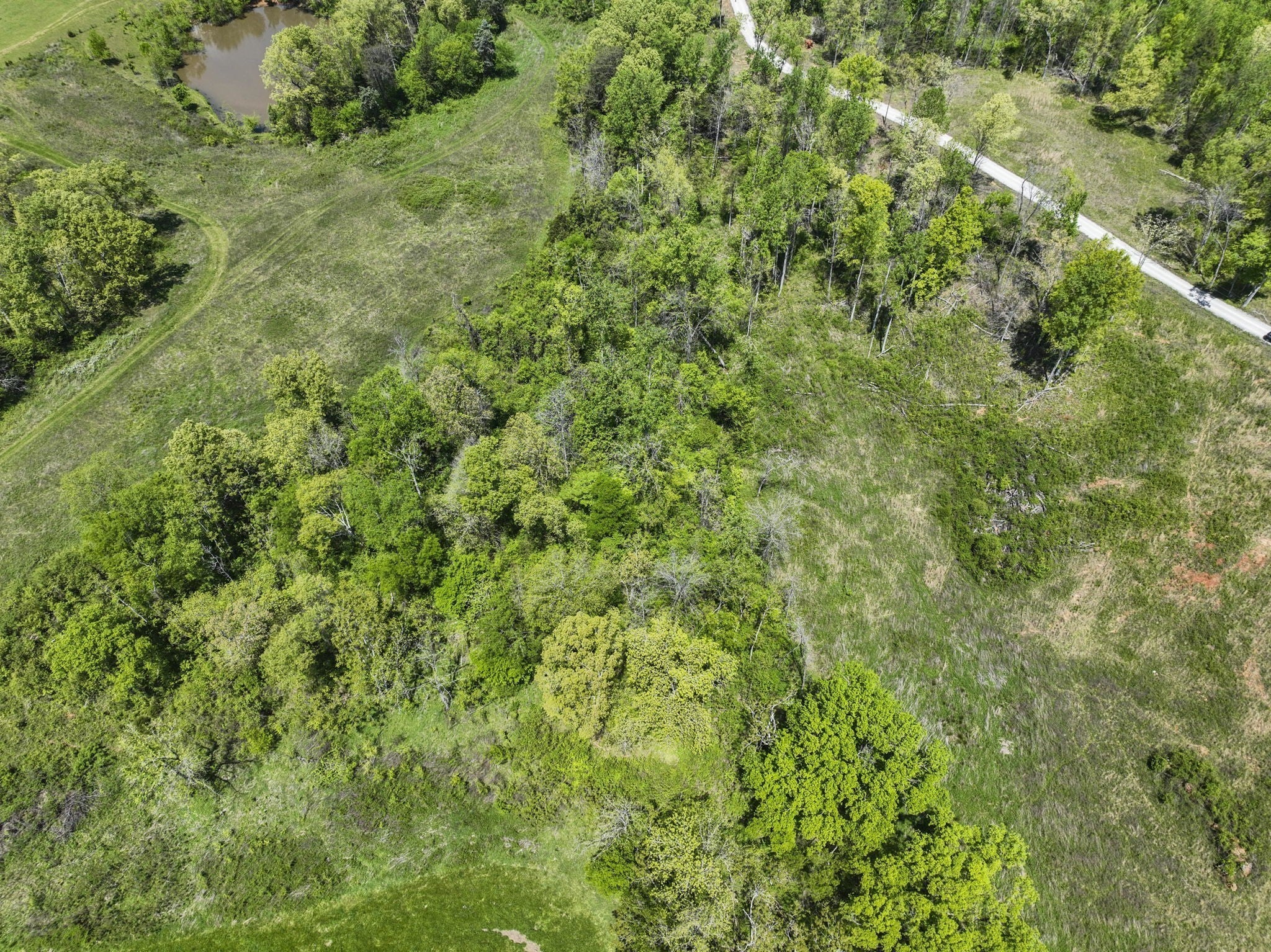 Photo of Listing #3070846