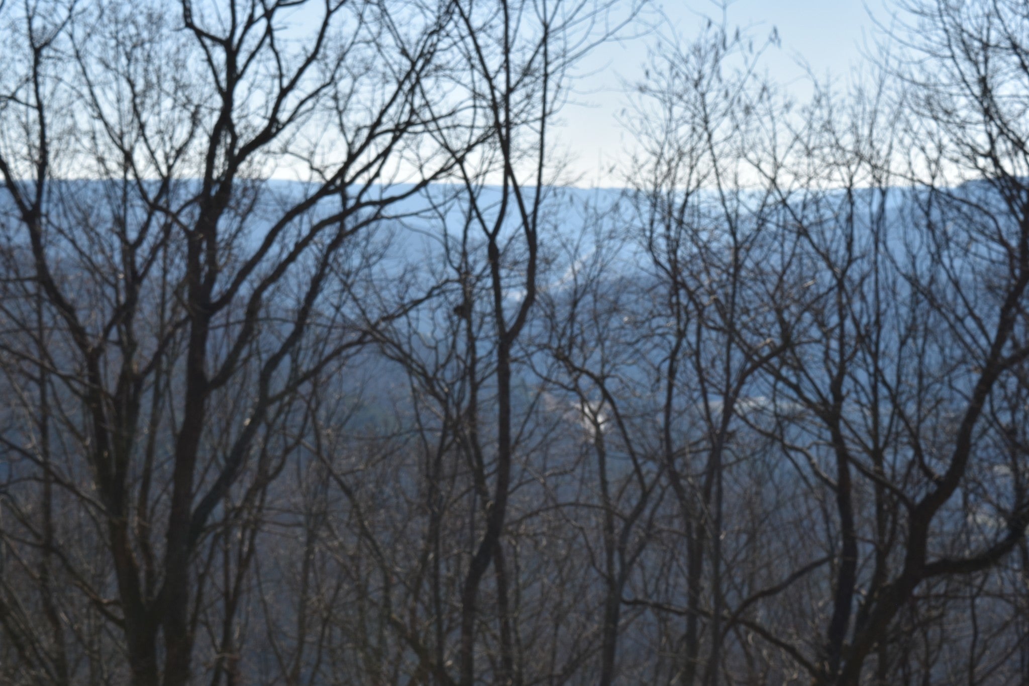 Photo of Listing #3070987