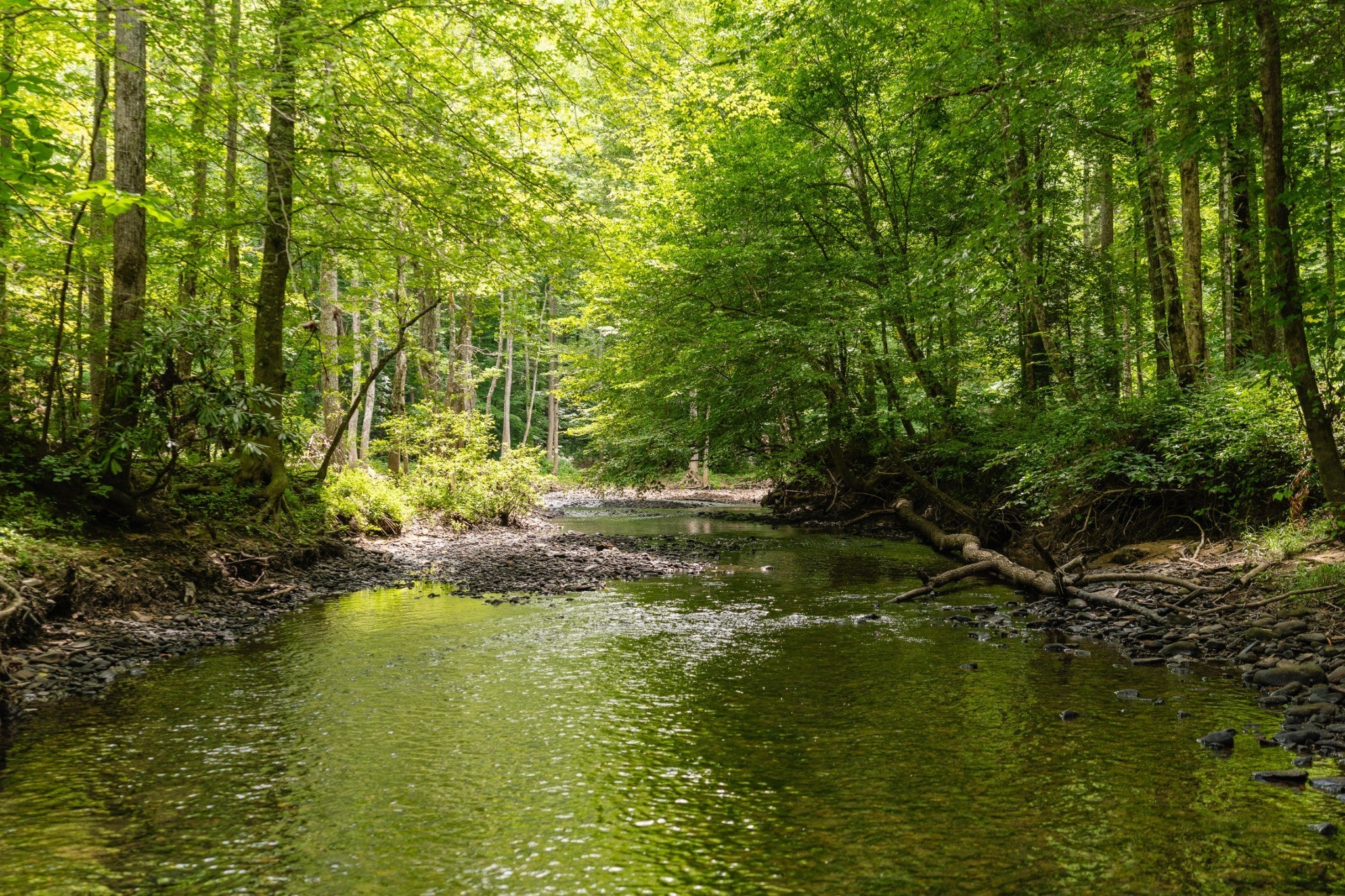 Photo of Listing #3070999