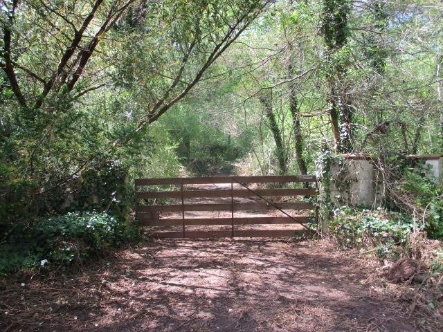 Photo of Listing #3071170