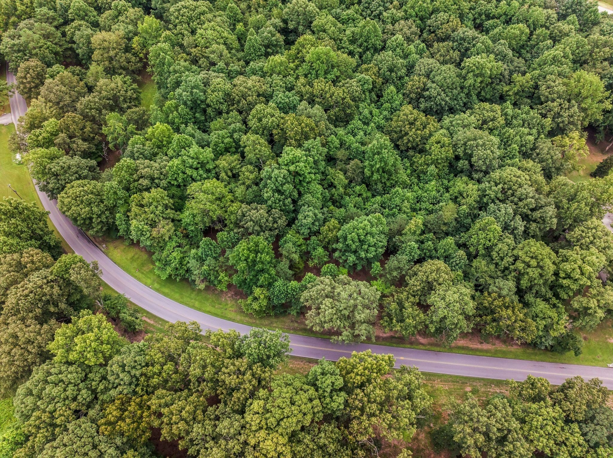 Photo of Listing #3071174