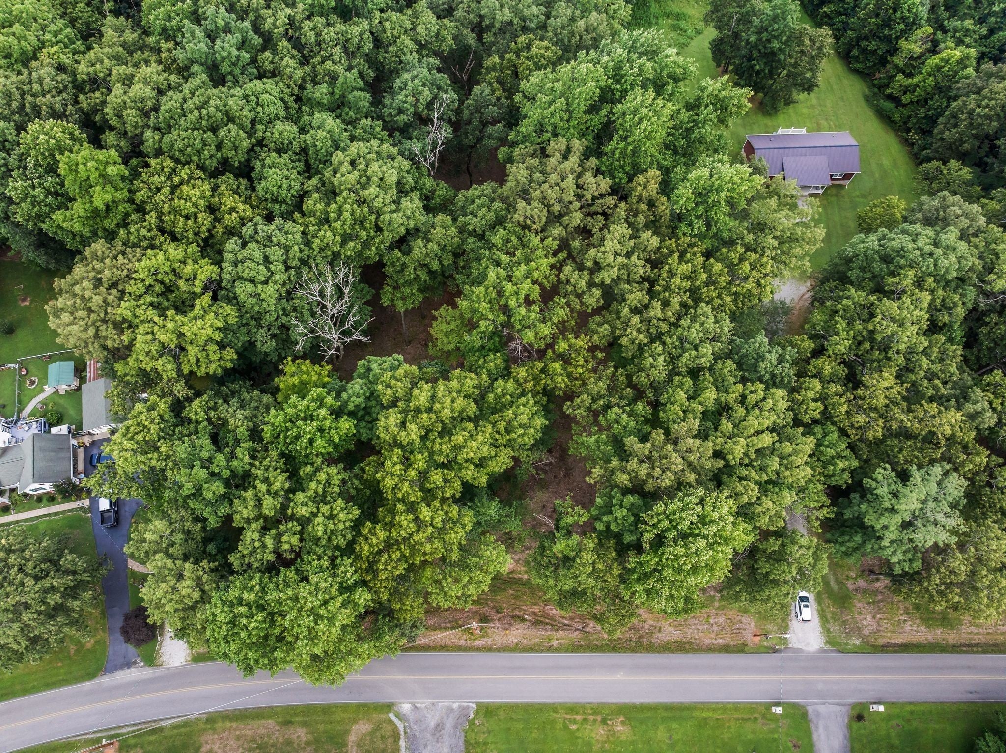 Photo of Listing #3071187