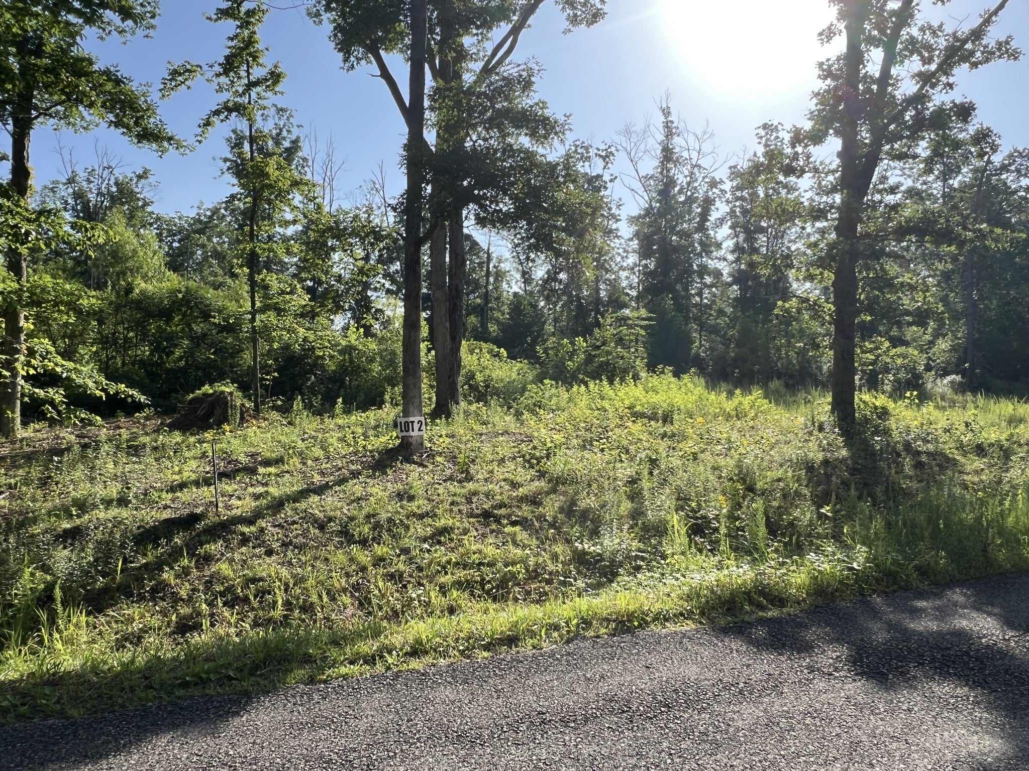 Photo for MLS 3071540 in 2 Slaughter Rd Primm Springs, TN - 38476