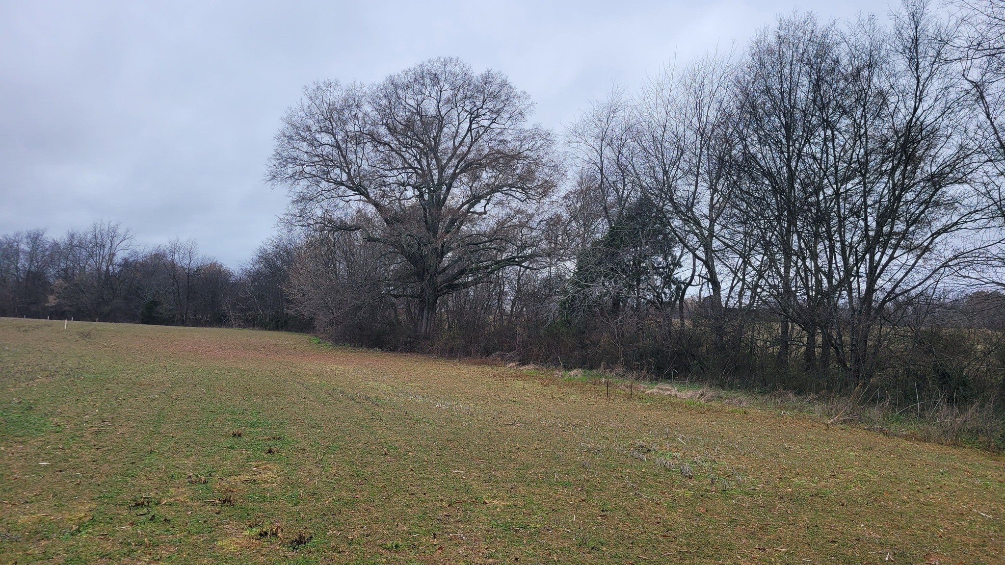 Photo of Listing #3071759