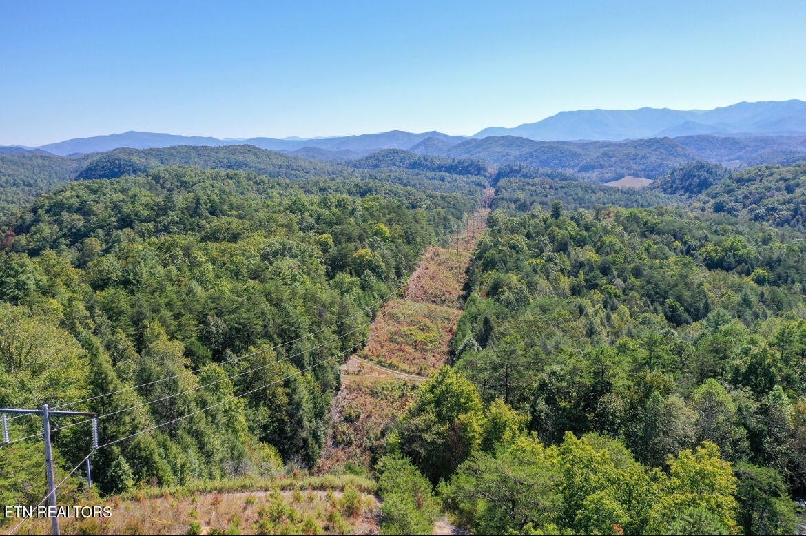 Photo of Listing #3072040