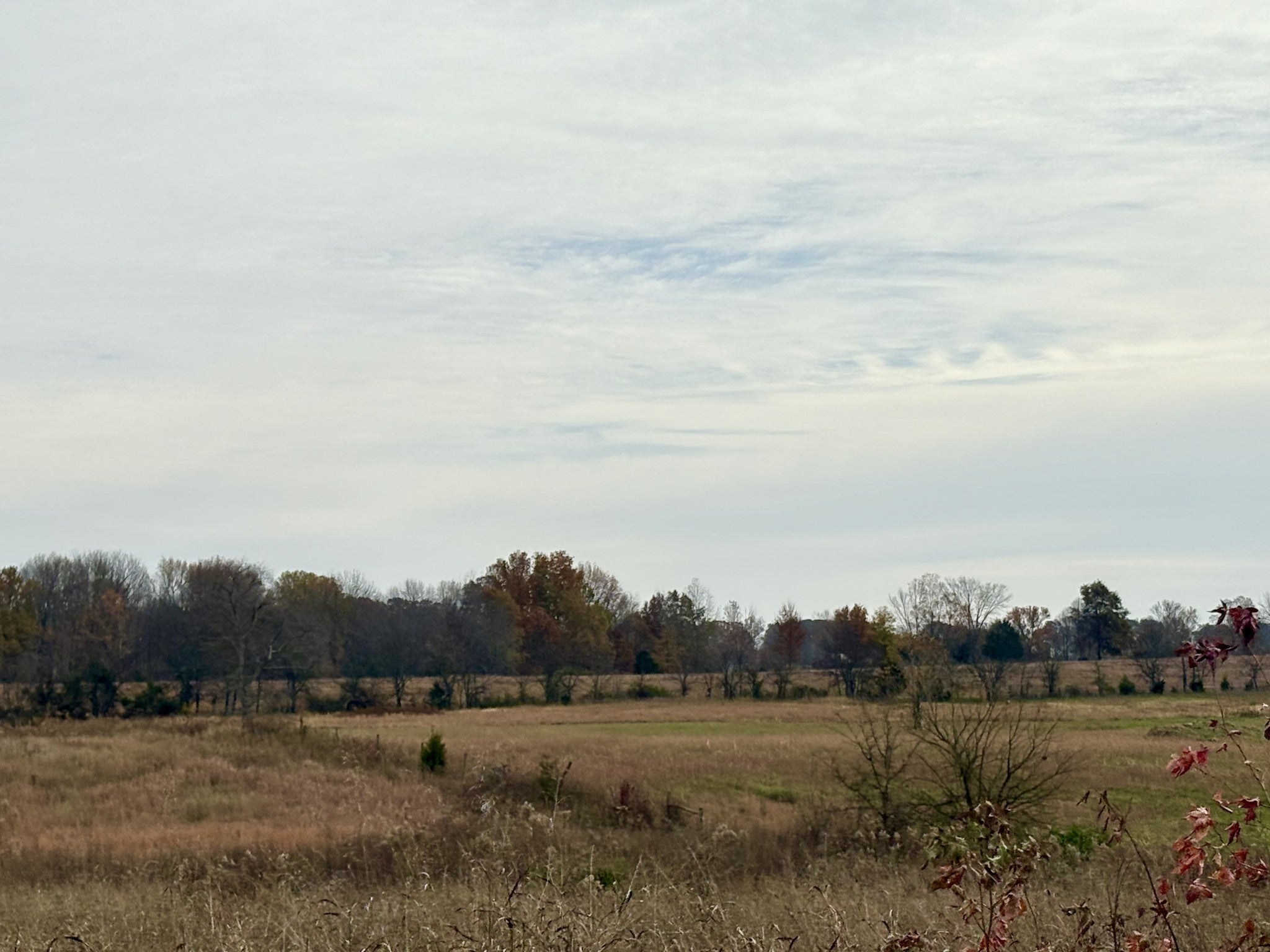 Photo of Listing #3072487