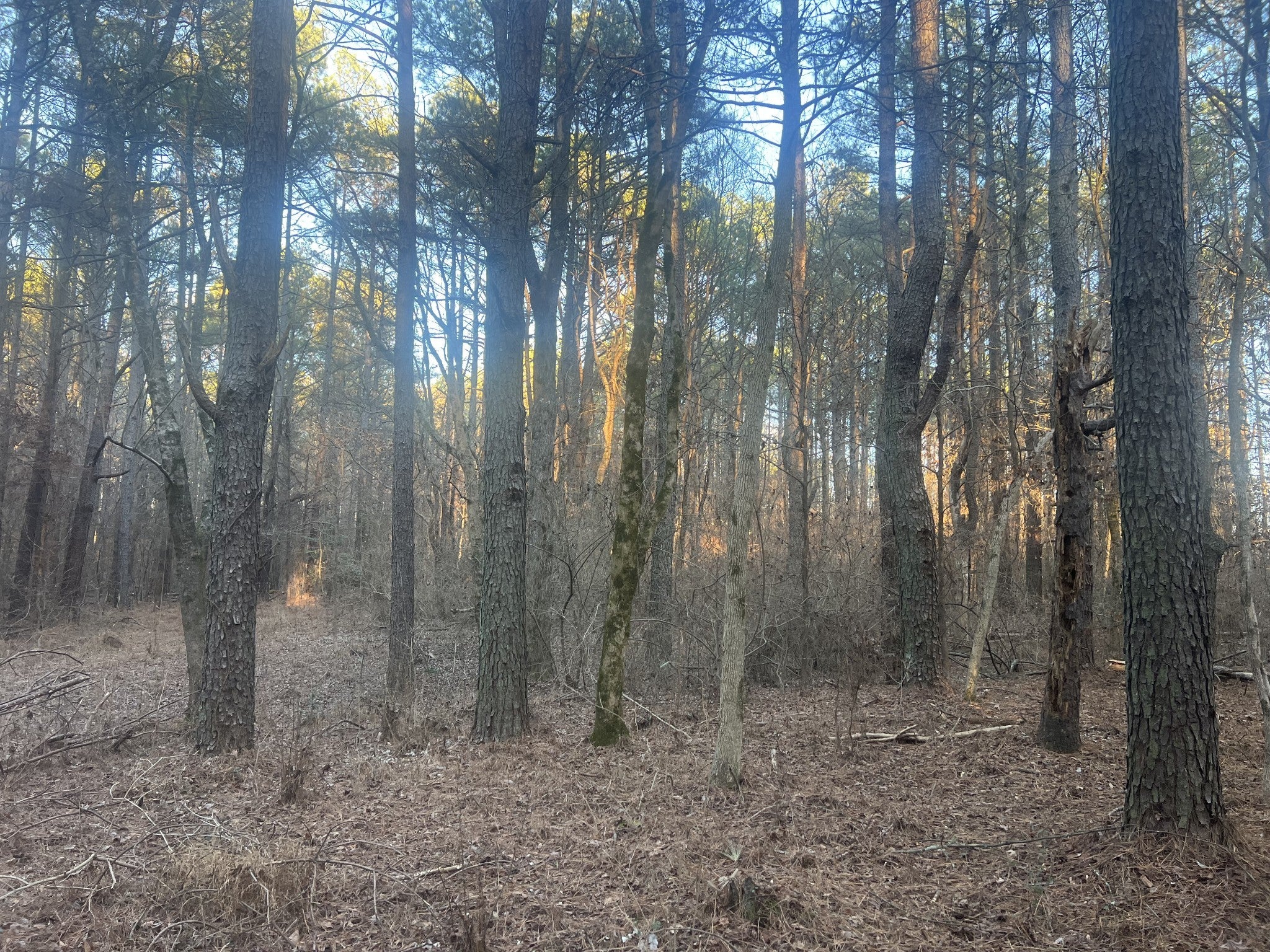 Photo of Listing #3072665