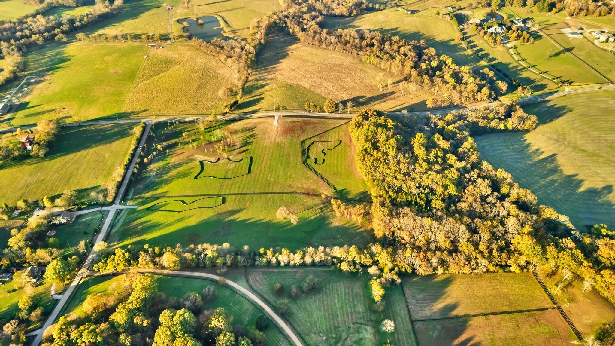 Photo of Listing #3072707