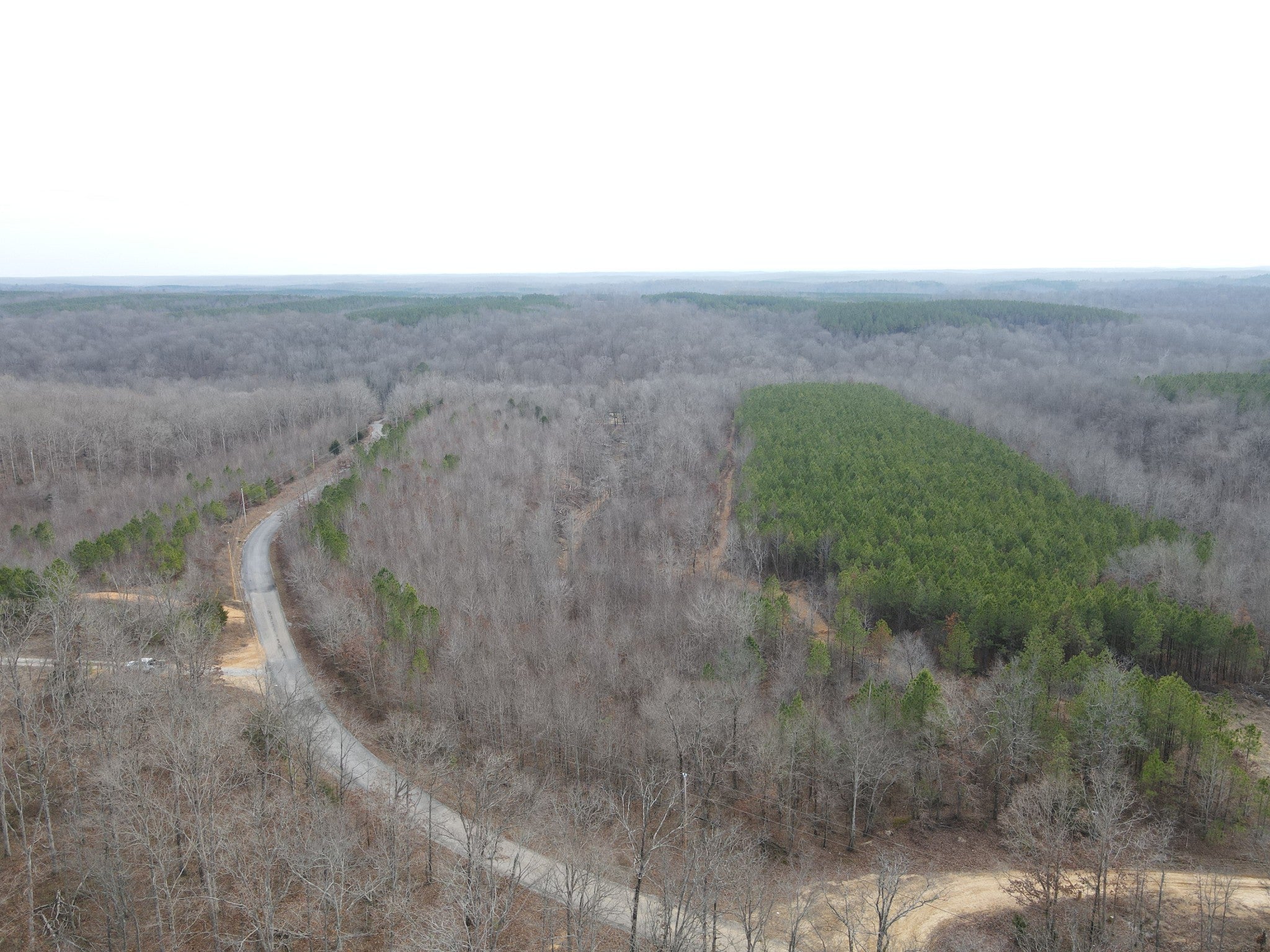 Photo of Listing #3072845