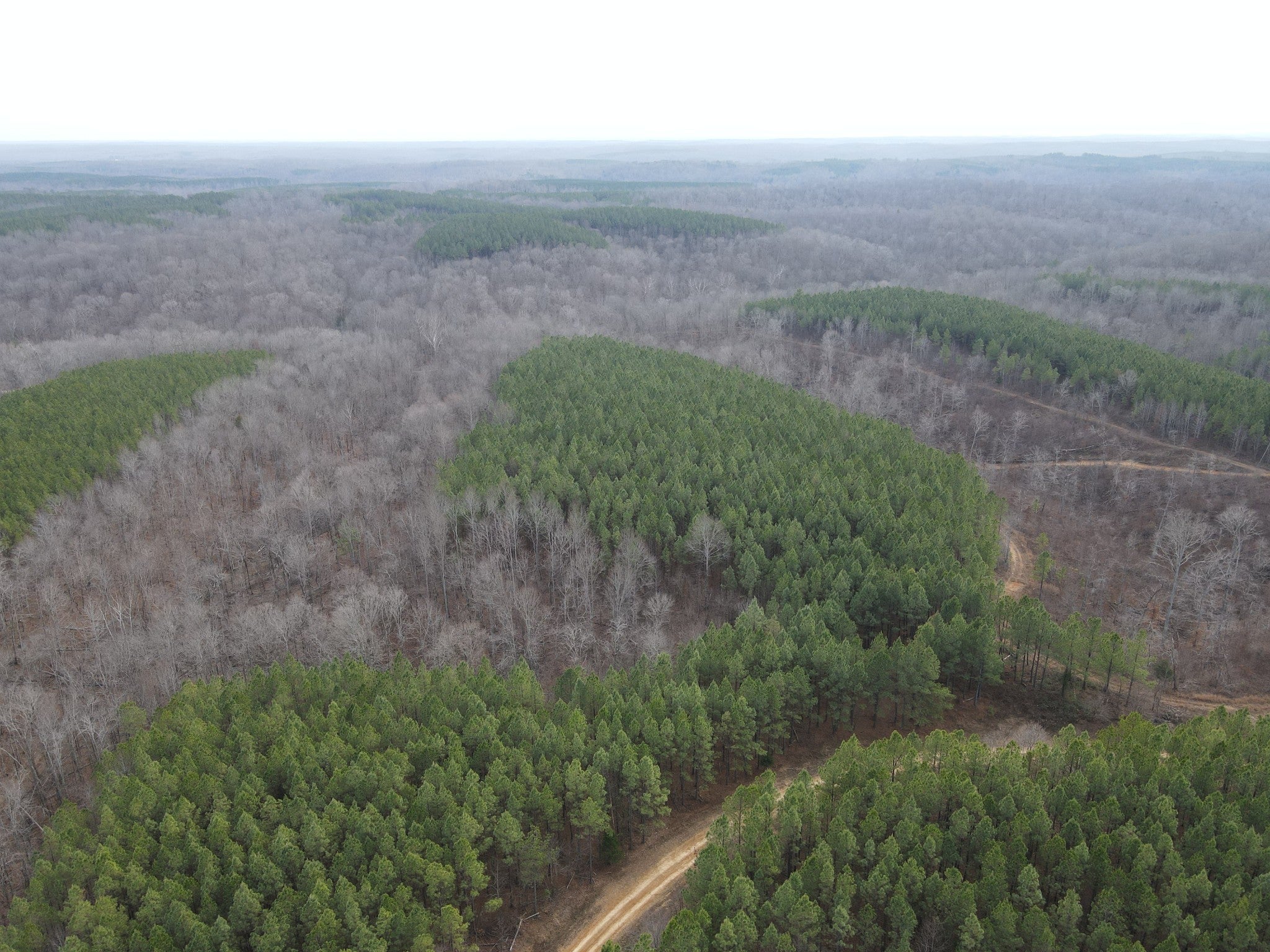 Photo of Listing #3072857