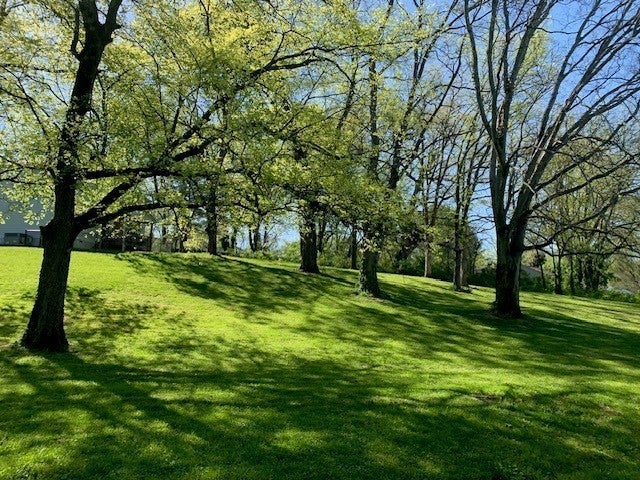 Photo of Listing #3072968