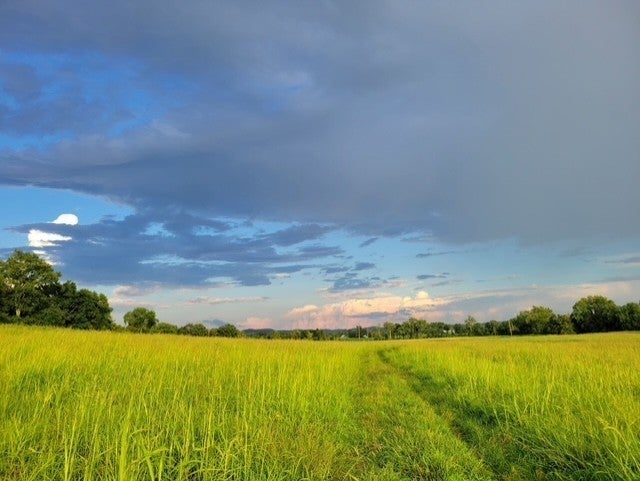 Photo of Listing #3073239