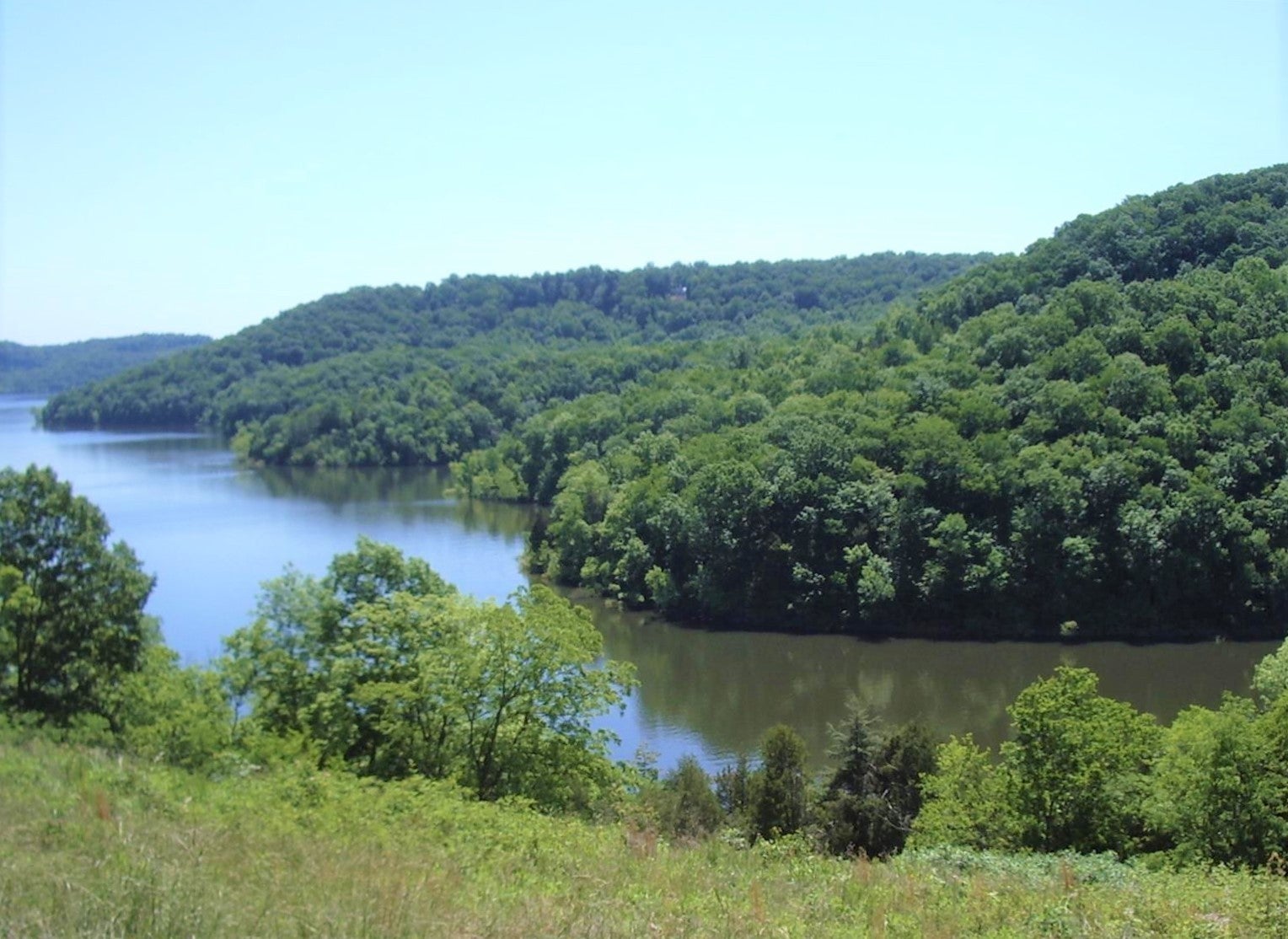 Photo of Listing #3073269