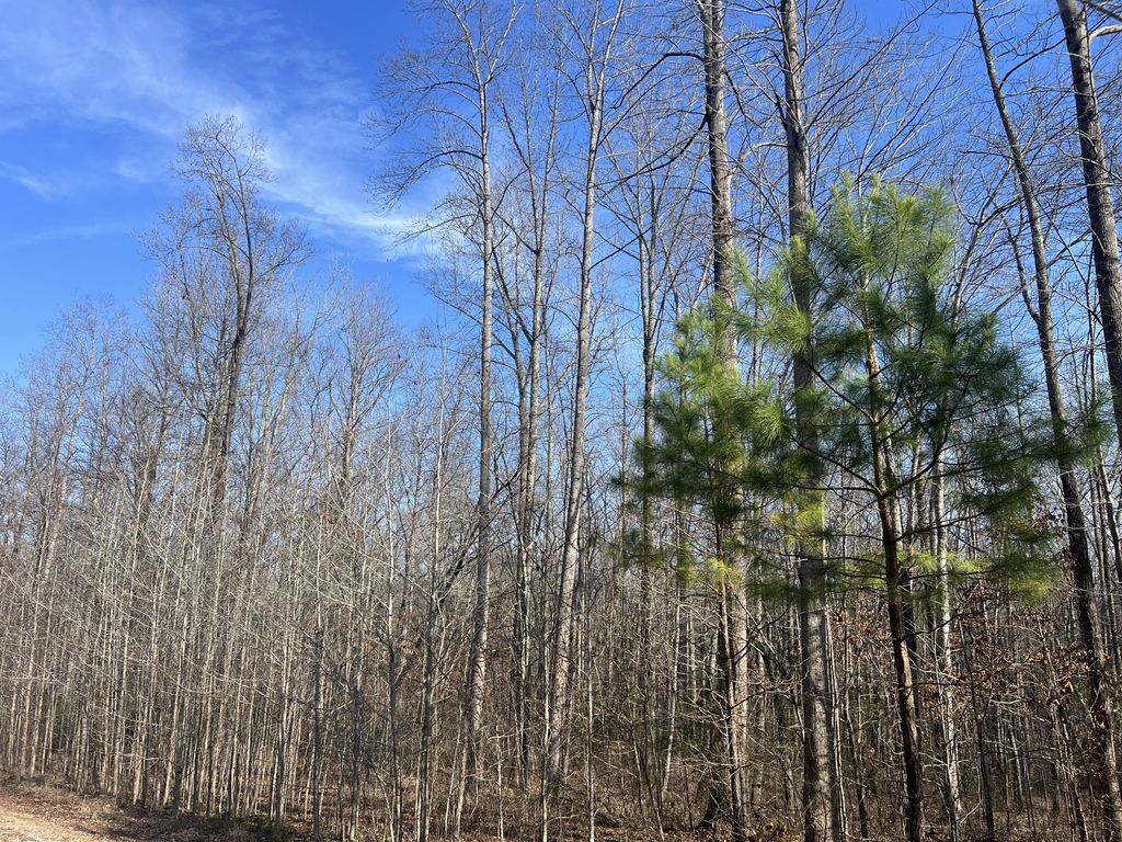 240 War Eagle Dr, Cedar Grove