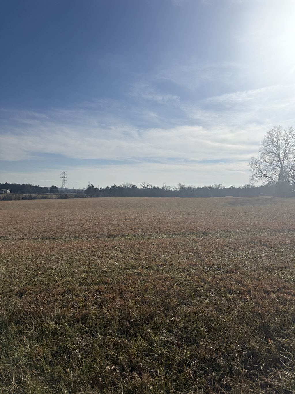 2326 Holly Grove Road, Lascassas