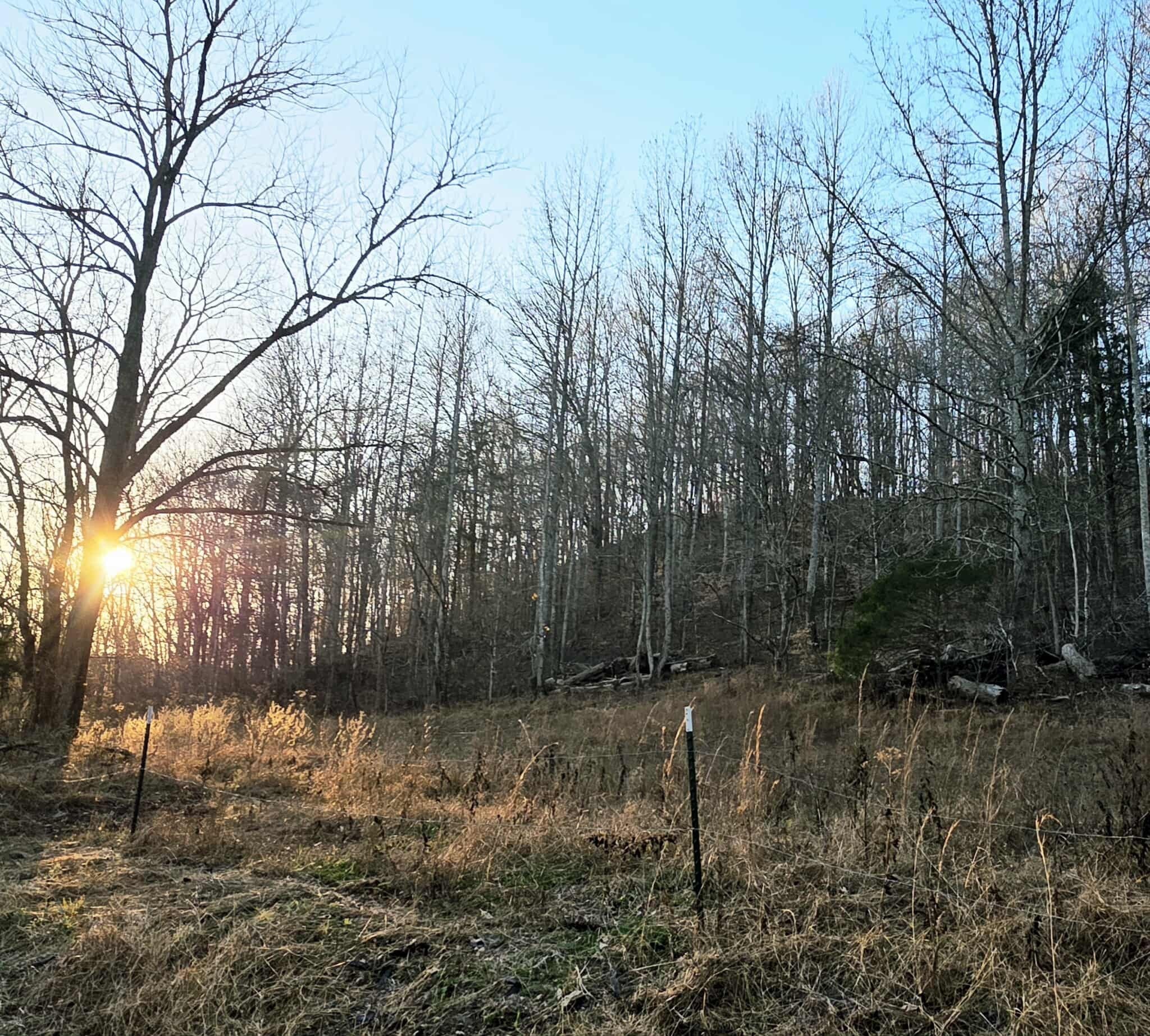 Photo of Listing #3073757