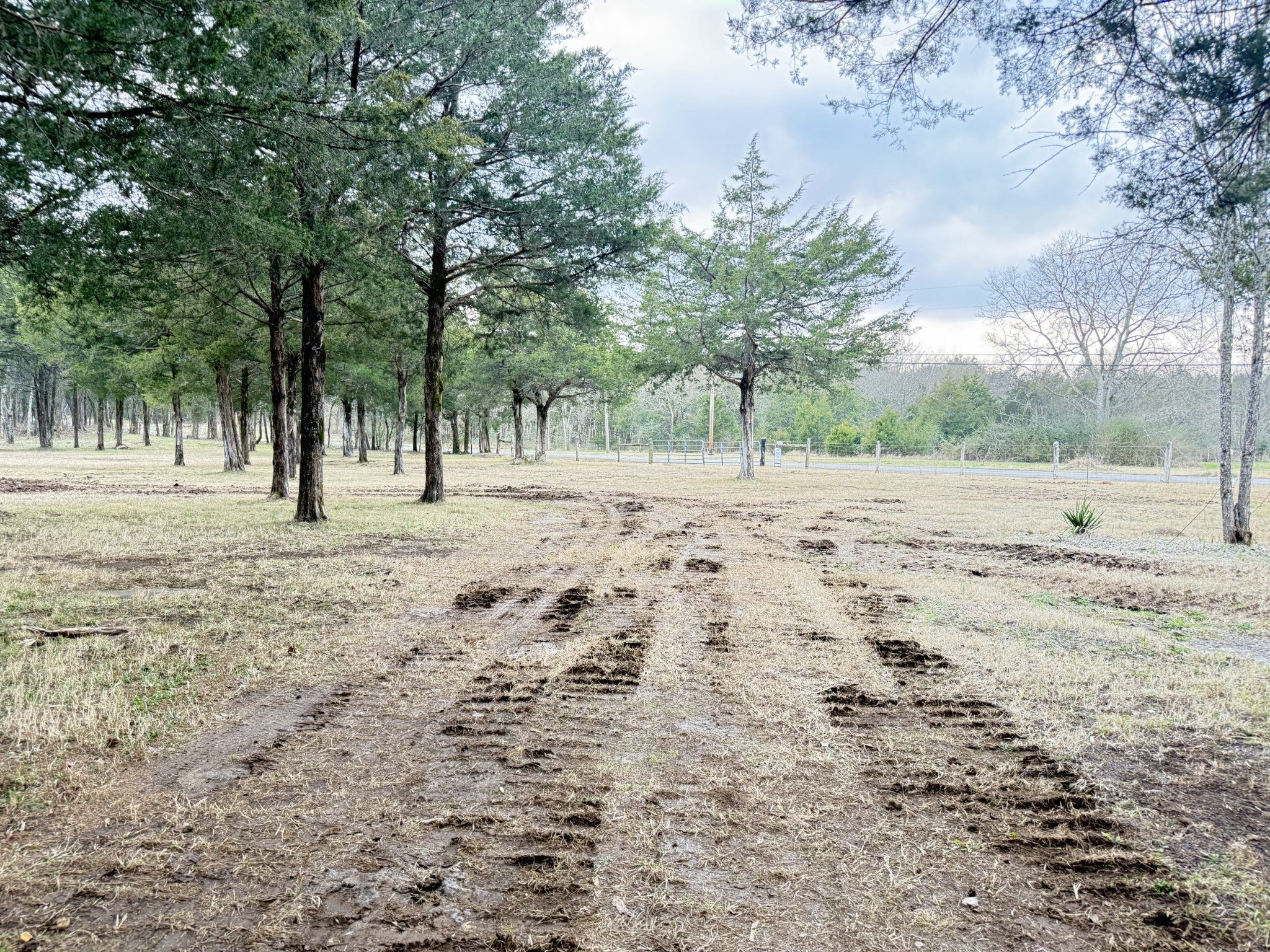 Photo of Listing #3074030