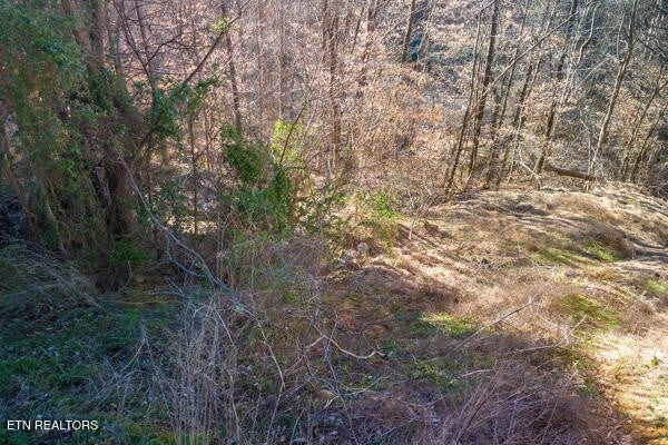 Photo of Listing #3074624