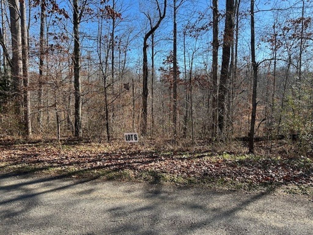 6 Slaughter Rd, Primm Springs